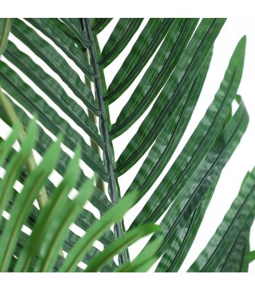 PLANTA ARECA