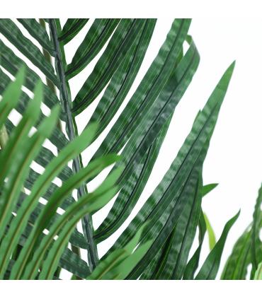 PLANTA ARECA