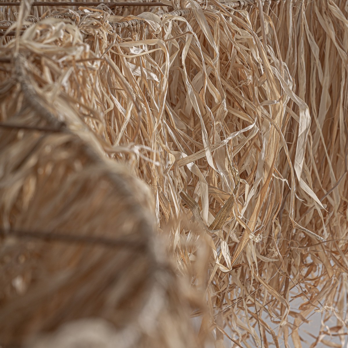 PANEL DECORATIVO CEILING