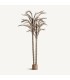 PLANTA ARECA