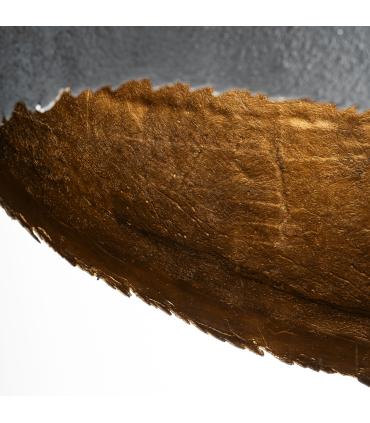 LÁMPARA DE COLGAR LIEROP