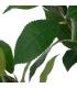 RAMA HOJAS VERDE ARTIFICIAL DECORACIÓN 34 X 25 X 95 CM