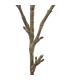 RAMA HOJAS VERDE ARTIFICIAL DECORACIÓN 34 X 25 X 95 CM