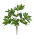 RAMA ARALIA VERDE "PVC" 52 X 56 X 56 CM