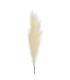 RAMA JUNCO CREMA ARTIFICIAL DECORACIÓN 12 X 12 X 110 CM