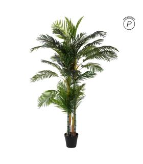 PLANTA ARECA PALMERA VERDE 100 X 130 X 210 CM