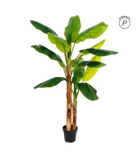 PLANTA PLATANERO VERDE DECORACIÓN 103 X 95 X 200 CM