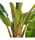 PLANTA PLATANERO VERDE DECORACIÓN 103 X 95 X 200 CM