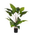 PLANTA COLOCASIA VERDE DECORACIÓN 130 CM