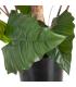 PLANTA COLOCASIA VERDE DECORACIÓN 130 CM