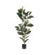 PLANTA FICUS VERDE OSCURO 49 X 45 X 125 CM