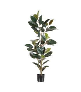 PLANTA FICUS VERDE OSCURO 49 X 45 X 125 CM