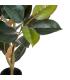 PLANTA FICUS VERDE OSCURO 49 X 45 X 125 CM