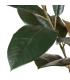 PLANTA FICUS VERDE OSCURO 49 X 45 X 125 CM