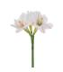 FLOR AMARILIS BLANCO ARTIFICIAL 23 X 20 X 73 CM