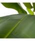 PLANTA HOJA BANANO VERDE ARTIFICIAL 93 X 90 X 190 CM