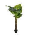 PLANTA FILODENDRO VERDE ARTIFICIAL 100 X 60 X 155 CM