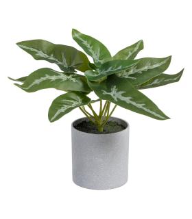 SINGONIO VERDE "PVC" 24 X 23 X 21 CM