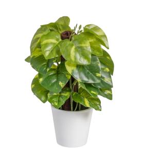 POTOS VERDE "PVC" 16 X 16 X 25 CM