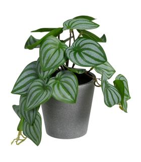 POTOS VERDE-BLANCO "PVC" 25 X 21 X 21,50 CM