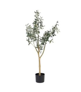 PLANTA OLIVO VERDE 55 X 60 X 112 CM