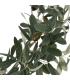 PLANTA OLIVO VERDE 55 X 60 X 112 CM