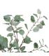 PLANTA EUCALIPTO VERDE 80 X 82 X 180 CM