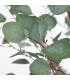 PLANTA EUCALIPTO VERDE 80 X 82 X 180 CM