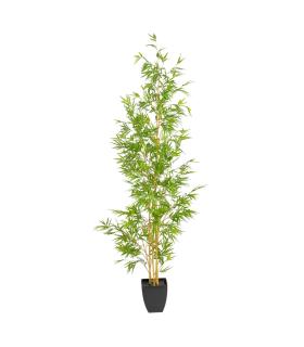 PLANTA BAMBÚ VERDE 90 X 86 X 220 CM