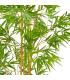 PLANTA BAMBÚ VERDE 90 X 86 X 220 CM