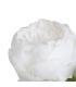 FLOR PEONÍA BLANCO POLIÉSTER-POLIETILENO 66 CM