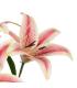 FLOR LIRIO ROSA GOMA DECORACIÓN 58 CM
