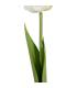 FLOR TULIPÁN BLANCO TEJIDO DECORACIÓN 63 CM