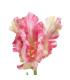 FLOR TULIPÁN ROSA TEJIDO DECORACIÓN 63 CM