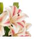 FLOR LIRIO ROSA GOMA DECORACIÓN 59 CM