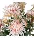 BOUQUET CRISANTEMO ROSA PVC-TEJIDO 52 CM