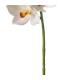 FLOR ORQUÍDEA BLANCO GOMA DECORACIÓN 71 CM