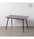 MESA EXTENSIBLE GRIS DM-METAL SALÓN 120 X 80 X 75 CM