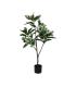 PLANTA MAGNOLIA VERDE-BLANCO GOMA 120 CM