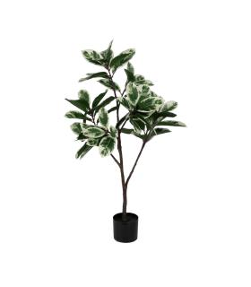 PLANTA MAGNOLIA VERDE-BLANCO GOMA 120 CM