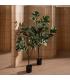 PLANTA MAGNOLIA VERDE-BLANCO GOMA 120 CM