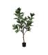 PLANTA MAGNOLIA VERDE-BLANCO GOMA 150 CM