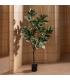 PLANTA MAGNOLIA VERDE-BLANCO GOMA 150 CM