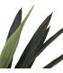 PLANTA YUCA VERDE GOMA DECORACIÓN 125 CM