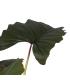 PLANTA COLOCASIA VERDE POLIETILENO 185 CM