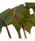 PLANTA COLOCASIA VERDE POLIETILENO 185 CM