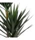 PLANTA YUCA VERDE POLIETILENO JARDÍN 250 CM