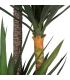 PLANTA YUCA VERDE POLIETILENO JARDÍN 250 CM
