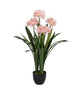 PLANTA JACINTO VERDE-ROSA POLIETILENO 100 CM