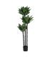 PLANTA DESIERTO VERDE PVC JARDÍN 175 CM